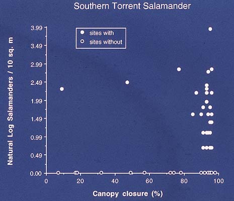 southern Torrent Salamander vs amount canopy (25 KB)
