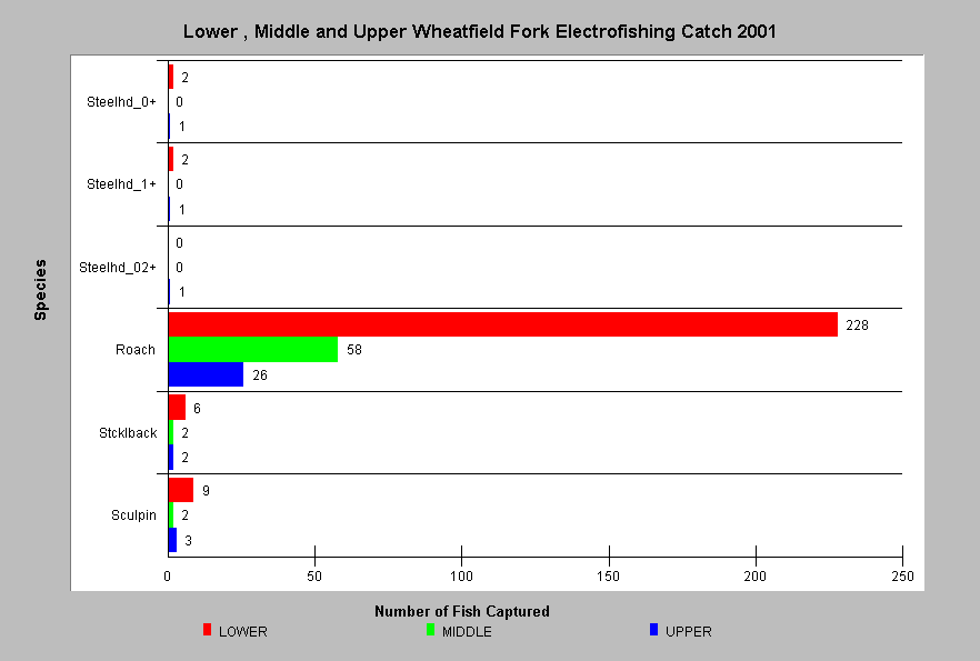 Fish Population Chart