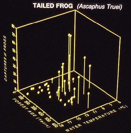 forest age and temperature vs. tailed frog numbers