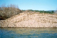 min_channel_sediment_deposit_near_kendall_1998_sm.jpg 51K