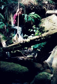 moat_bugs_lee_above.jpg 128K