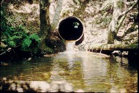 schoon_nf_culvert.jpg 134K