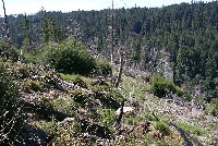 beatty_ridge_in_foreground_sm.jpg 159K