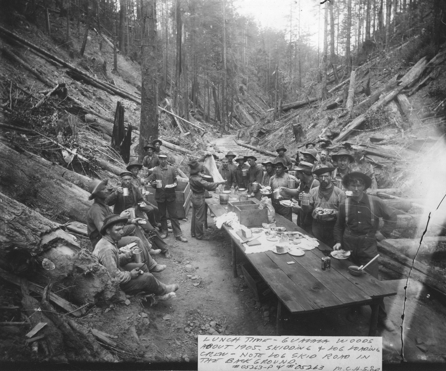 Logging History