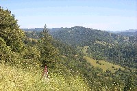 1_panorama_of_upper_billings_creeks_from_gps_25_sm.jpg 72K