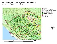 riparian_nf1994_sm.jpg 141K