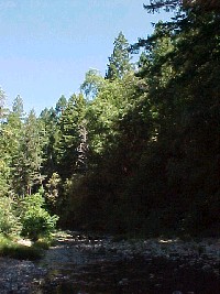mvc-416f.jpg 118K