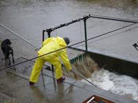 ../fcsmp/monitoring/weir/bob_pagliuco_netting_a_chinook,_dec_2002_.jpg + 328 KB