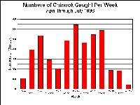 hlchbyweek1996.gif 18K