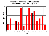 wcsh1downmigbyweek1996.gif 19K