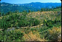 dillon_creek_klamath_river.jpg 158K