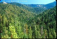 elk_creek_bear_cr_wildland.jpg 168K