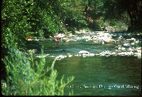 elk_creek_dredge_mining.jpg 102K