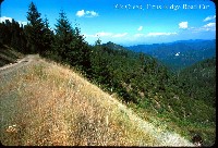 elk_creek_titus_ridge_road.jpg 114K