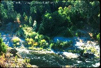 kings_creek_klamath_river.jpg 116K
