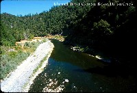 klamath_river_below_dillon.jpg 98K