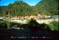 salmon_river_butler_creek.jpg 105K