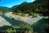 salmon_river_george_geary.jpg 120K