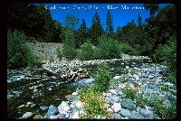 salmon_river_nordheimer.jpg 139K