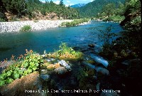 salmon_river_somes_creek.jpg 106K