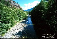 scott_river_callahan_br.jpg 134K