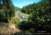 scott_river_janesr_ra.jpg 139K