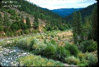 scott_river_lower_canyon_b.jpg 124K