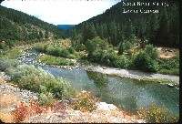 scott_river_lower_canyon.jpg 120K