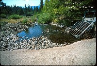 shasta_river_eddy_diversion.jpg 151K