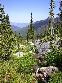 outlet_of_long_mtn_lake_8_02_headwaters_to_parker_creek.jpg 181K