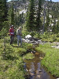 upper_parker_creek_8_02_first_meadow_below_long_mountain_lake.jpg 209K