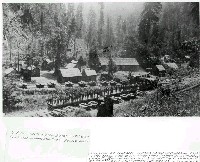 hp_03nav_woods_camp.jpg 122K