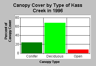 Canopy cover in Kass Creek
