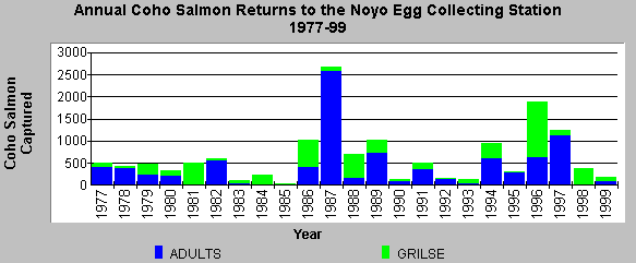 Coho salmon returns to Noyo Egg Collecting Station 1977-99
