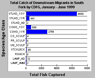 Downstream salmon migrants S.F. Noyo 1999
