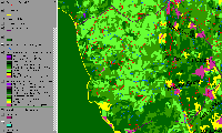 veg_roaring.gif 62K