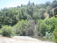 forsythe_creek_closeup_2002.jpg 163K