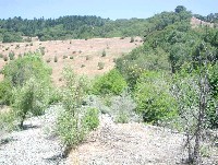 forsythe_creek_closeup_caltrans_zoom2002.jpg 156K