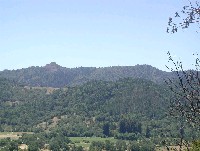 forsythe_valley_rw_zoom4_2003.jpg 157K