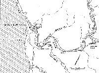 estuary_map_msc.gif 62K