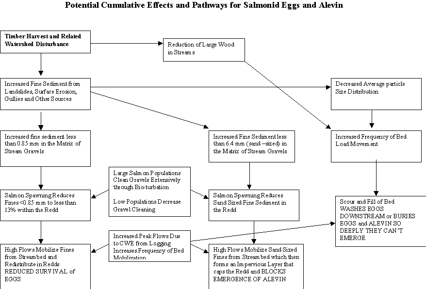 Potential cummulative effects for salmon eggs and alevin