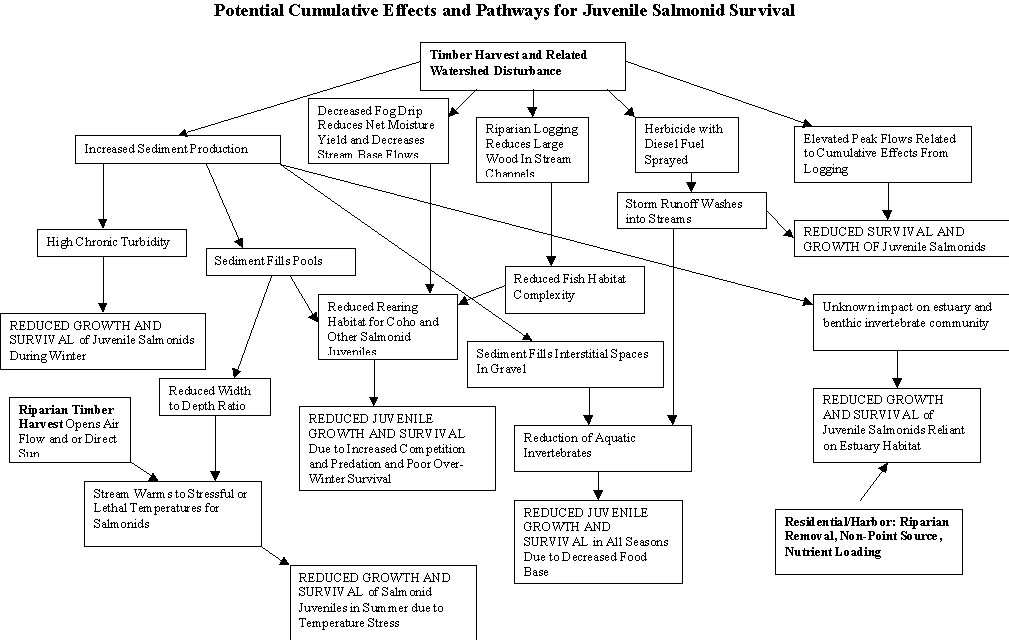 Potential Cumulative effects for juvenile salmon