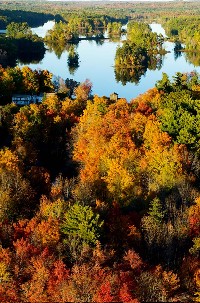 sheepscot_aerials_2004_branch_pond.jpg 194K