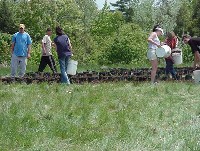 sheepscot_nursery_5.jpg 89K