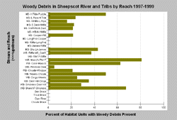 Woody Debris in Sheepscot Watershed 1997-1999