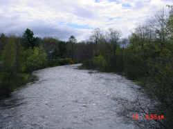 Lower Sheepscot River. Photo by Melissa Halsted.