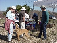 mm_volunteer_feeding.jpg 142K