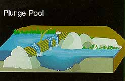 plunge pool