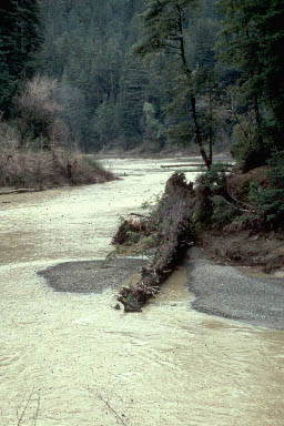 Turbid conditions in the South Fork Eel River. Photo by Bill Filsinger