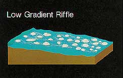 low gradient riffle